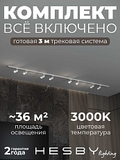 Накладная однофазная трековая система Hesby Lighting Skylite №3 со светильниками HSBL_kompl_S003_NI3W3K