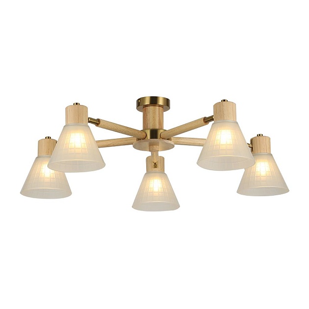 Потолочная люстра Arte Lamp Meleph A4096PL-5BR Фото № 1