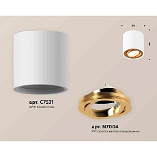 Комплект накладного светильника Ambrella light Techno Spot XS7531004 SWH/PYG белый песок/золото желтое полированное (C7531, N7004) 1