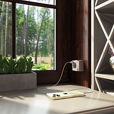 Розетка с заземлением, шторками и USB тип A+C Werkel Gallant шампань рифленый W5071710 4690389179631 1