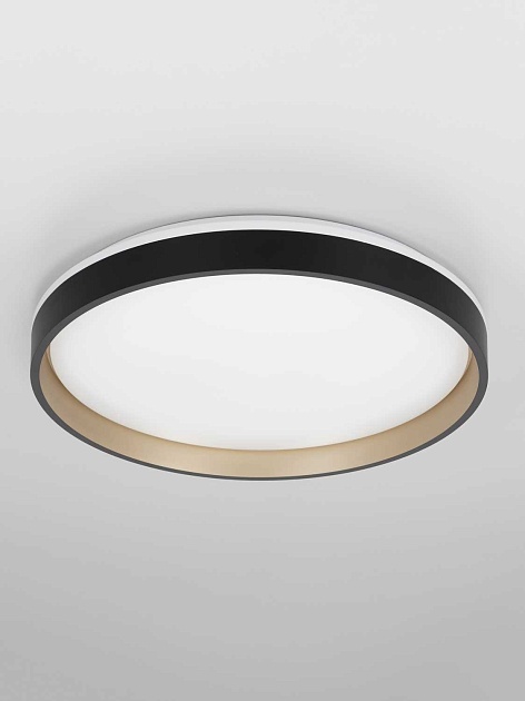 Светильник потолочный Citilux ENZO CL753451G Фото № 13