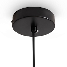 Подвесной светильник Freya Fly FR5489PL-01BG 1