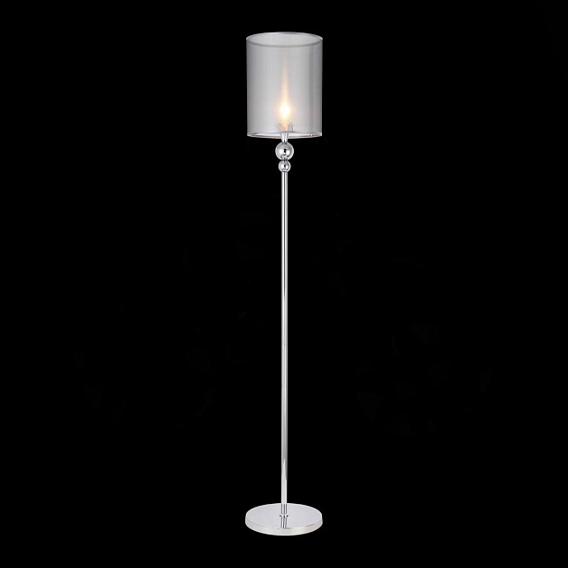 Торшер Evoluce Pazione SLE107105-01 Фото № 4