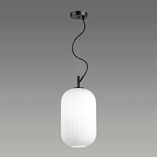 Подвесной светильник Odeon Light Pendant Roofi 4751/1 2