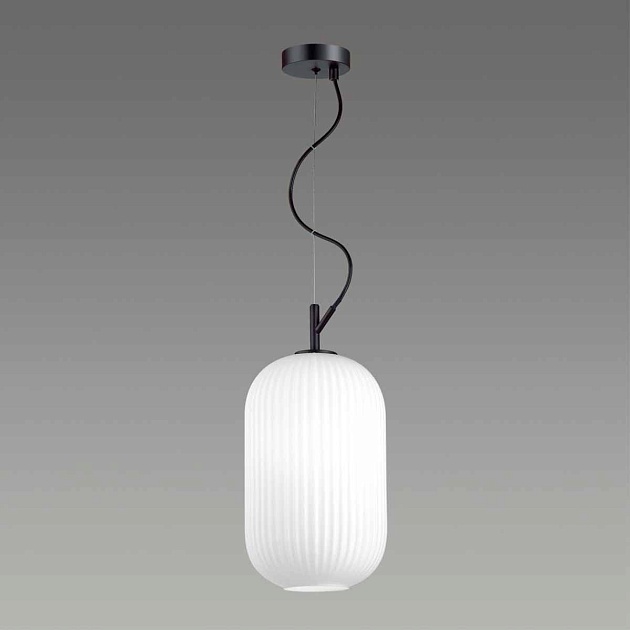 Подвесной светильник Odeon Light Pendant Roofi 4751/1 Фото № 3