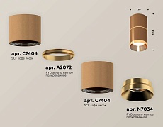 Комплект накладного светильника Ambrella light Techno Spot XS7404061 SCF/PYG кофе песок/золото желтое полированное (C7404, A2072, C7404, N7034) 1