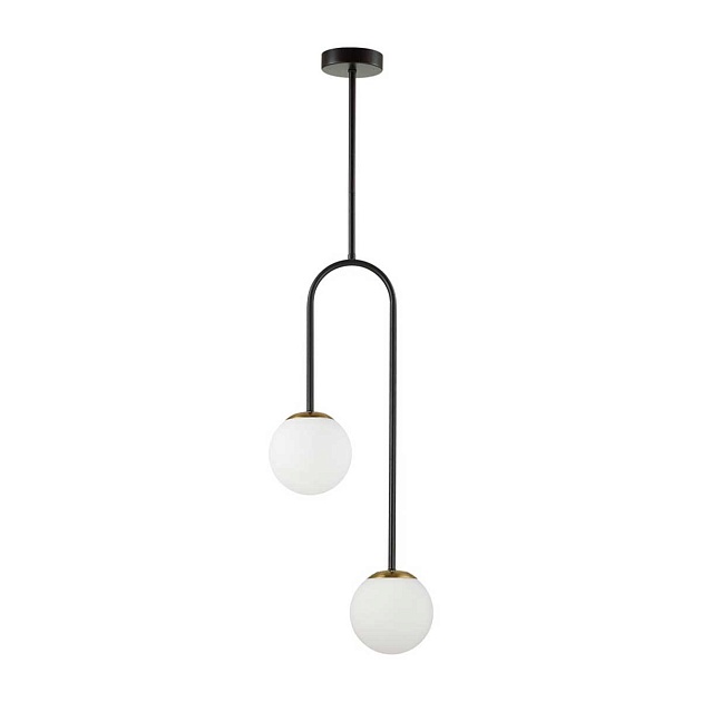 Подвесной светильник Lumion DEXTER 6500/2C Фото № 1