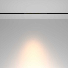 Трековый светильник Maytoni Technical TR232-2-10W3K-B 2