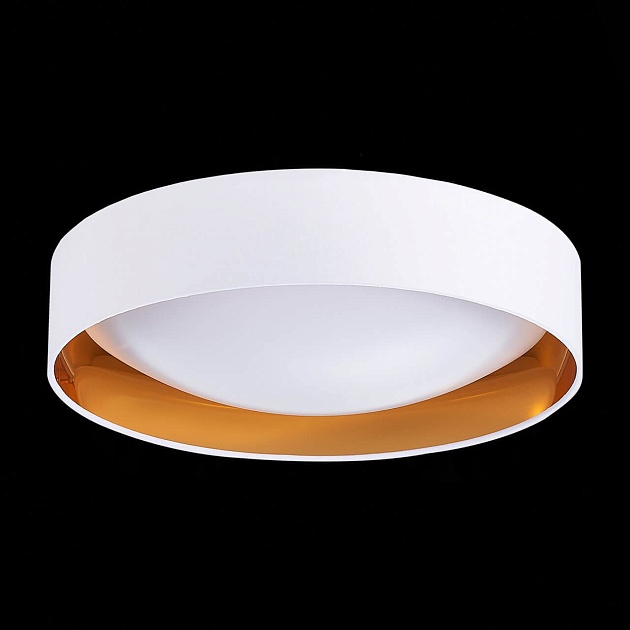 Потолочный светодиодный светильник Evoluce Orbio SLE201122-01 Фото № 4