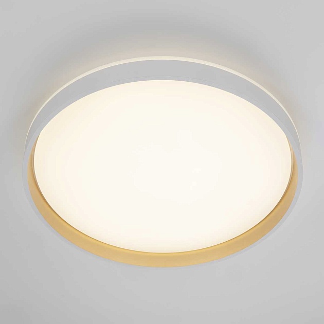 Светильник потолочный Citilux ENZO CL753510G Фото № 13