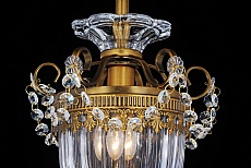 Потолочный светильник Arte Lamp Schelenberg A4410PL-1SR 4