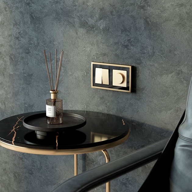 Диммер Werkel N шампань W1142011 4690389213007 Фото № 2