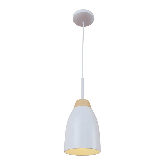 Подвесной светильник Loft IT Watchman Loft4402A-Wh Фото № 4