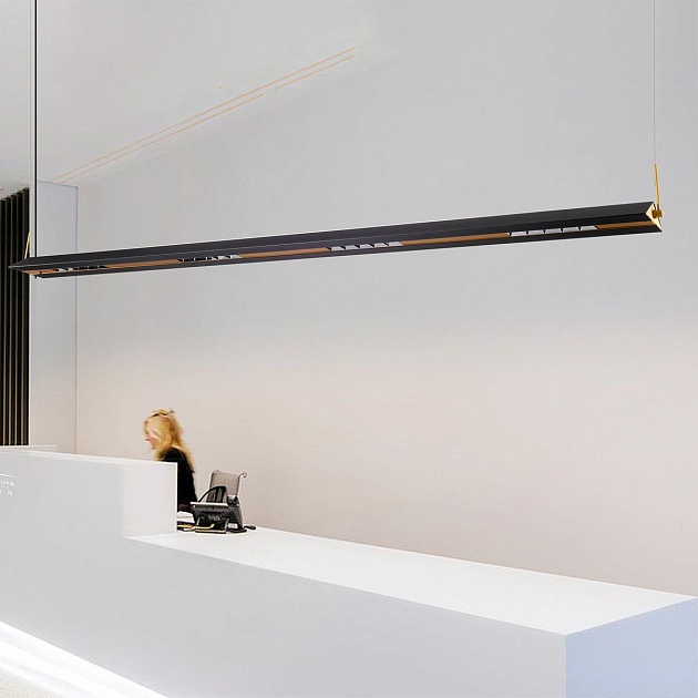 Подвесной светодиодный светильник Favourite Norman 4398-12P изображение 5 Подвесной светодиодный светильник Favourite Norman 4398-12P Фото № 5