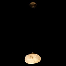 Подвесной светильник Loft IT Fionora 10531B 5