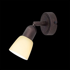 Спот Citilux Ронда CL506514 1
