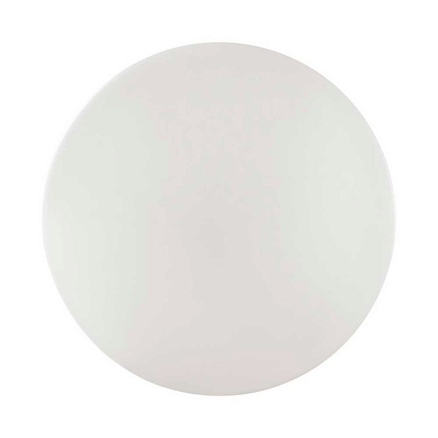 Настенно-потолочный светодиодный светильник Sonex Pale Vale 3040/DL Фото № 2