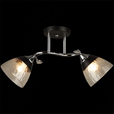 Потолочный светильник Reluce 04517-0.3-02 4