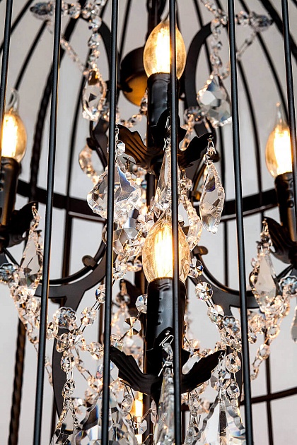Подвесная люстра Loft IT Vintage Birdcage Loft1891/8 изображение 5 Подвесная люстра Loft IT Vintage Birdcage Loft1891/8 Фото № 5