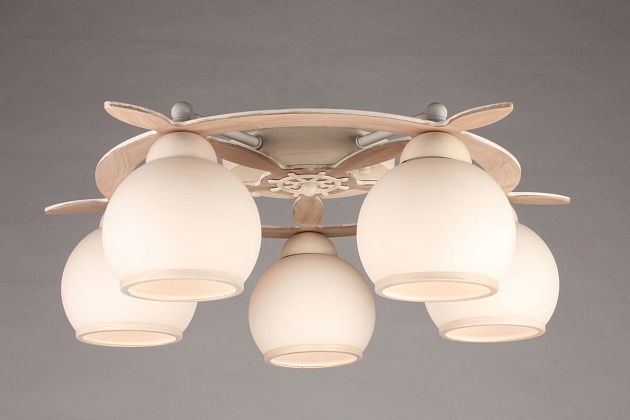 Потолочная люстра Omnilux OML-50517-05 изображение 3 Потолочная люстра Omnilux OML-50517-05 Фото № 3