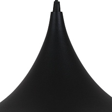 Подвесной светильник Arte Lamp Carmel A7080SP-1BK 1