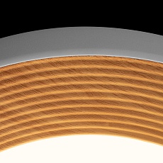 Потолочный светильник Loft IT Folk 10255/500 White 2