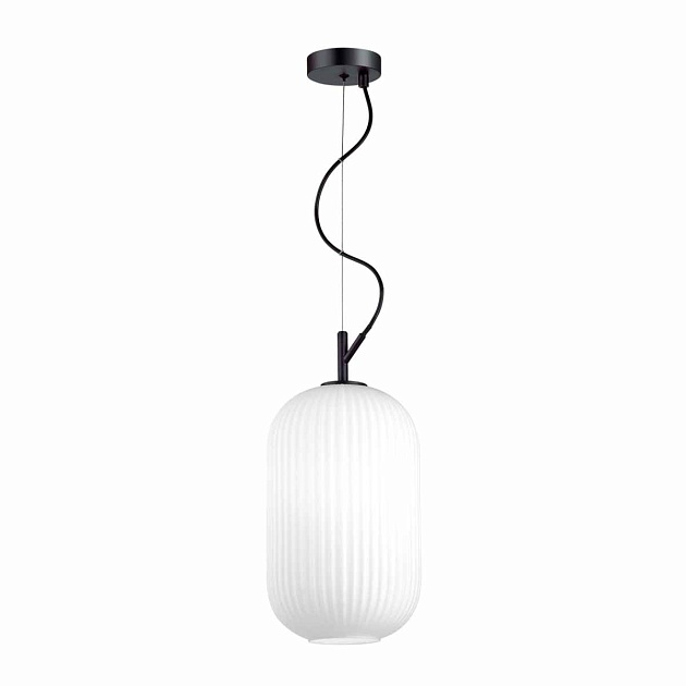 Подвесной светильник Odeon Light Pendant Roofi 4751/1 Фото № 2