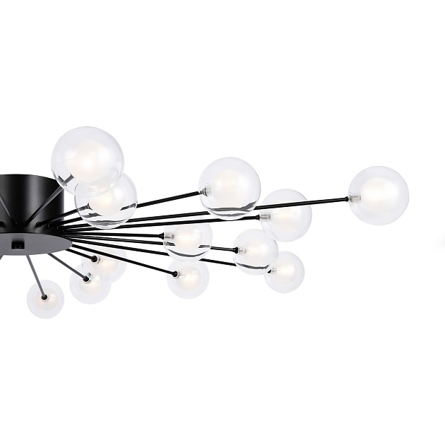 Потолочная люстра Freya Celebrity FR5242CL-24B1 изображение 3 Потолочная люстра Freya Celebrity FR5242CL-24B1 Фото № 3