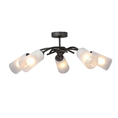 Потолочная люстра Vitaluce V2850-1/5PL 1