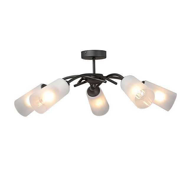 Потолочная люстра Vitaluce V2850-1/5PL изображение 2 Потолочная люстра Vitaluce V2850-1/5PL Фото № 2