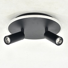 Потолочный светодиодный светильник Escada 20046SMA/02LED BK 2