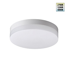 Уличный потолочный светильник Novotech Opal Street 359726