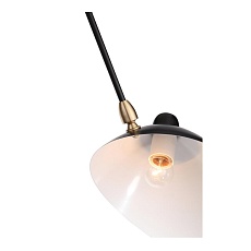Потолочная люстра ST Luce Spruzzo SL305.402.06 1