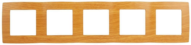 Рамка 5-постовая ЭРА 12 12-5005-07 Б0014787 изображение 1 Рамка 5-постовая ЭРА 12 12-5005-07 Б0014787 Фото № 1