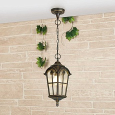 Уличный подвесной светильник Elektrostandard Mira a025299 1