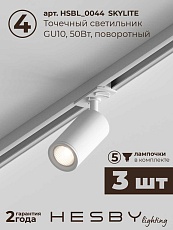 Встраиваемая однофазная трековая система Hesby Lighting Skylite №3 со светильниками HSBL_kompl_S003_VI1W4K 1