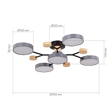 Потолочная светодиодная люстра Evoluce FAEMA SLE6006-702-05 2