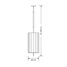 Подвесная люстра KUTEK MOOD Natura NAT-ZW-2(ZM) 2