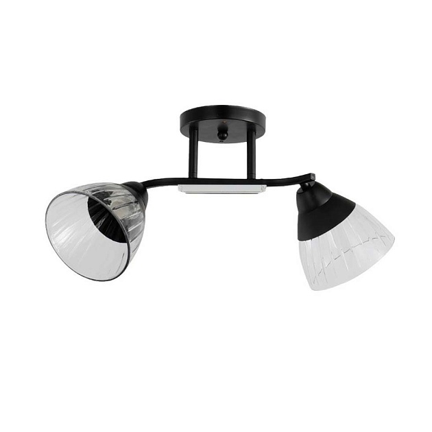 Потолочный светильник ЭкономСвет 12205/2BK CL+BK изображение 1 Потолочный светильник ЭкономСвет 12205/2BK CL+BK Фото № 1