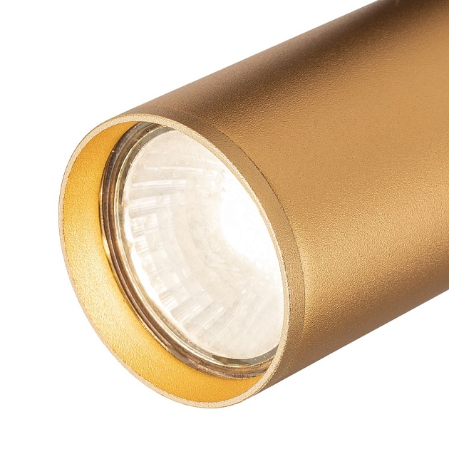 Трековый светильник Escada 20001TRA/01 BR изображение 3 Трековый светильник Escada 20001TRA/01 BR Фото № 3