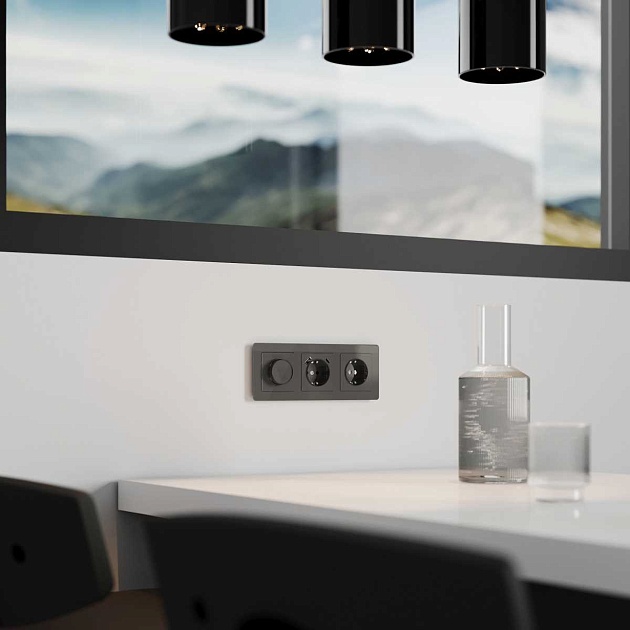 Диммер Werkel графит акрил W1142044 4690389197499 Фото № 3