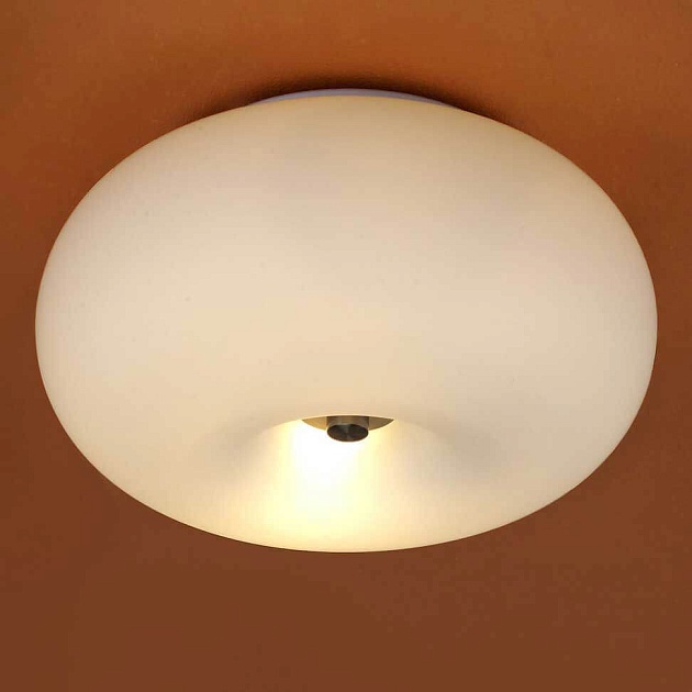 Потолочный светильник Eglo Optica 86811 фото 2