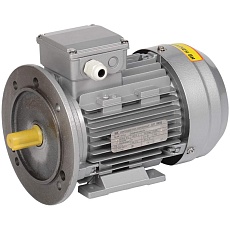 Электродвигатель асинхронный трехфазный АИР 63B2 380В 0,55кВт 3000об/мин 2081 DRIVE IEK DRV063-B2-000-5-3020
