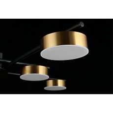 Потолочная светодиодная люстра Aployt Delayn APL.042.07.56 4