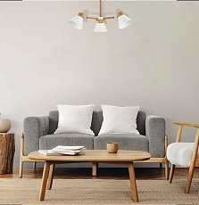 Потолочная люстра Evoluce Buve SLE103702-06 4