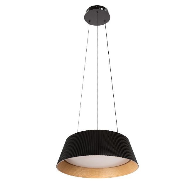 Подвесной светильник LOFT IT Evans 10224P Black изображение 1 Подвесной светильник LOFT IT Evans 10224P Black Фото № 1