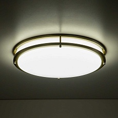 Потолочный светодиодный светильник Citilux Бостон CL709503N 1