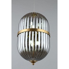 Подвесной светильник Aployt Ludovica APL.860.06.06 5