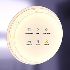 Светодиодная лента Standard Maytoni Led Strip 20031 2