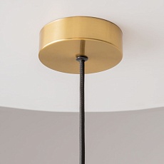Подвесной светодиодный светильник Maytoni Levitation MOD376PL-L30G3K 2